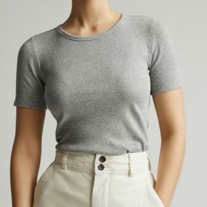 Everlane Pima Micro-Rib Crew Tee in Gray